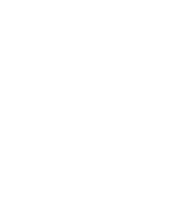 NanoMaRi